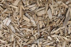 biomass boilers Minnigaff
